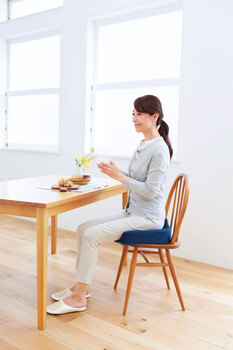 コジット 腰痛対策クッション ネイビー 送料無料-12