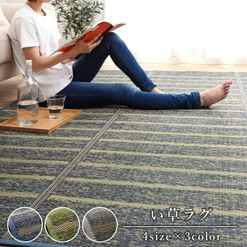 ラグ 約240×320cm い草 自然素材 シンプル ボーダー 裏面すべり止め付き 滑りにくい 抗菌防臭 NCXシルフ 送料無料-0