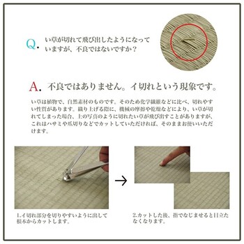 ラグ 約240×320cm い草 自然素材 シンプル ボーダー 裏面すべり止め付き 滑りにくい 抗菌防臭 NCXシルフ 送料無料-13