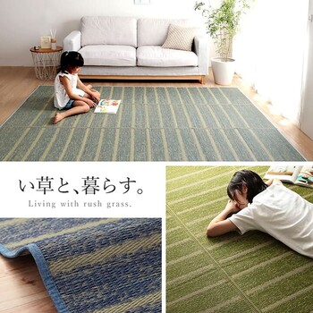 ラグ 約240×320cm い草 自然素材 シンプル ボーダー 裏面すべり止め付き 滑りにくい 抗菌防臭 NCXシルフ 送料無料-1