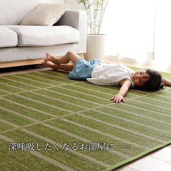 ラグ 約240×320cm い草 自然素材 シンプル ボーダー 裏面すべり止め付き 滑りにくい 抗菌防臭 NCXシルフ 送料無料-6