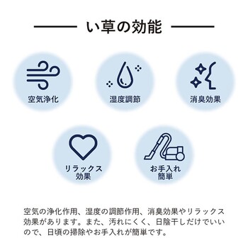 ラグ 約191×191cm い草 日本製 国産 自然素材 滑り止め加工 ナチュラル 市松柄 オールシーズン 消臭 DXプレーン 送料無料-11