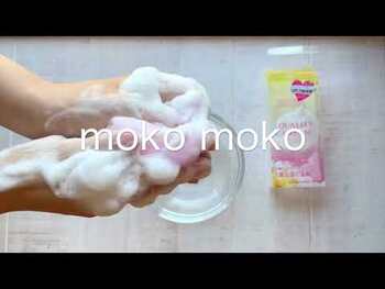 クオリティークリーム オーガンジーネット 5個セット 送料無料-4