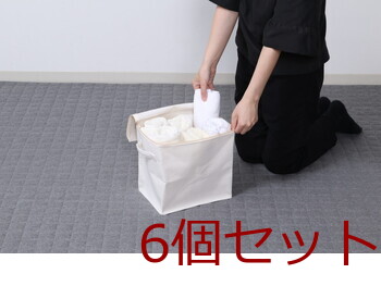 魅せる収納ボックス 縦ハーフ 蓋付 6セット 送料無料-14