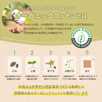 クッション 約43×43cm シート 椅子 日本製 オーガニックコットン ボーダー フロー シート 送料無料-2