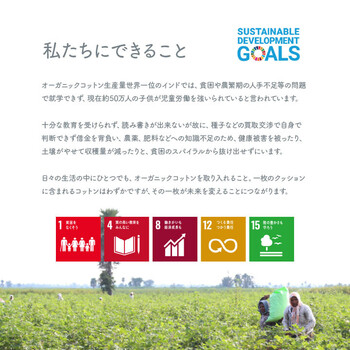 クッション 約55×35×25cm 寄りかかり 日本製 オーガニックコットン 背もたれ フロー よりかかり 送料無料-4