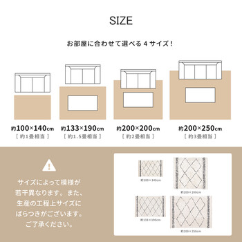 ラグ ウィルトン織ラグ 約200×250cm 長毛 ベルギー製 BOHO 送料無料-6