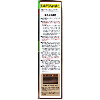カミクローネEX ダークブラウン 80mL 2個セット 送料無料-3