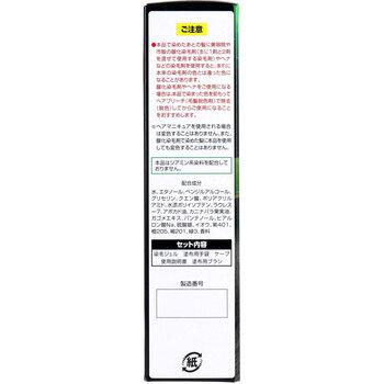 カミクローネEX ナチュラルブラック 80mL 2個セット 送料無料-2