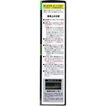 カミクローネEX ナチュラルブラック 80mL 2個セット 送料無料-3