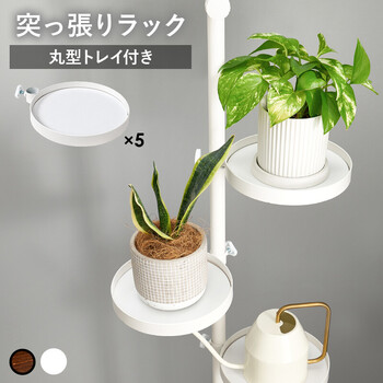 突っ張り棒＆パーツ 6点幅43cm 丸型 KTR-3116-BB 送料無料-3