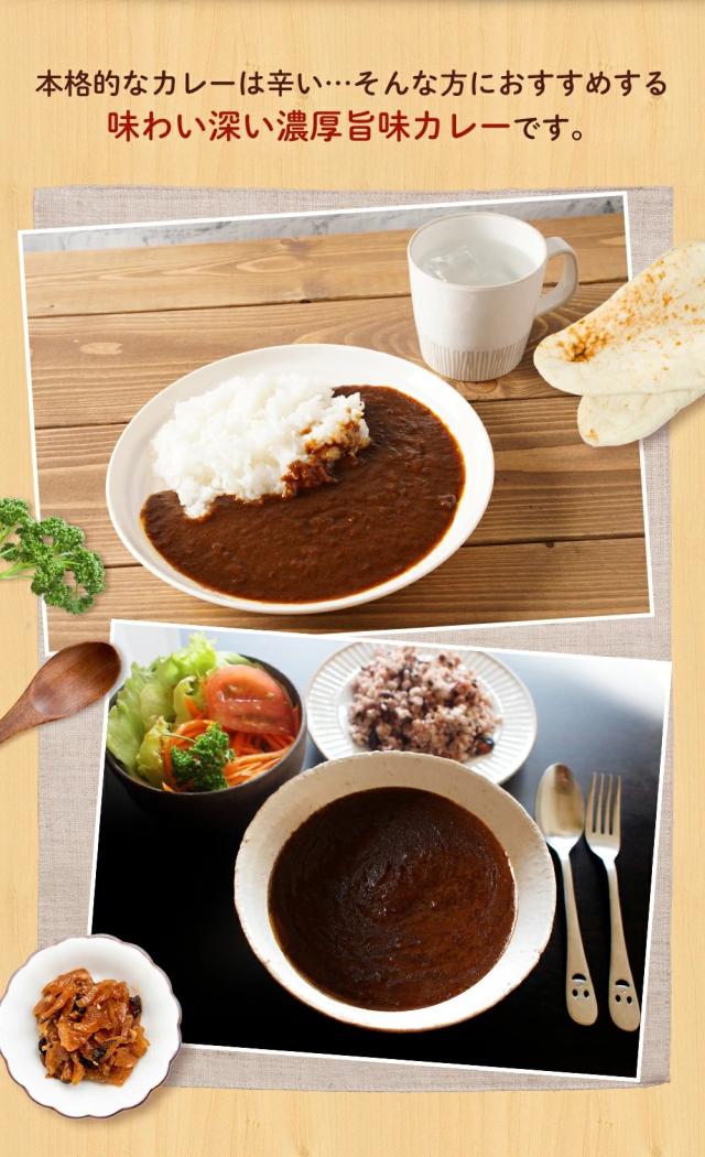 マイカリー食堂 欧風カレー30個即日出荷可 送料無料 即日発送-4