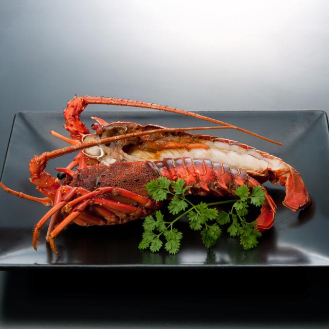 徳島 吟月 伊勢海老ステーキ C 送料無料-2