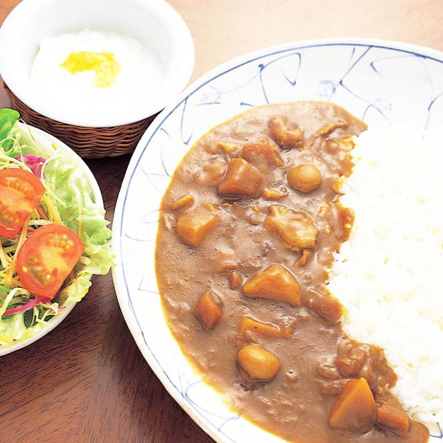 三田屋総本家 黒豚のポークカレー20食 送料無料-3