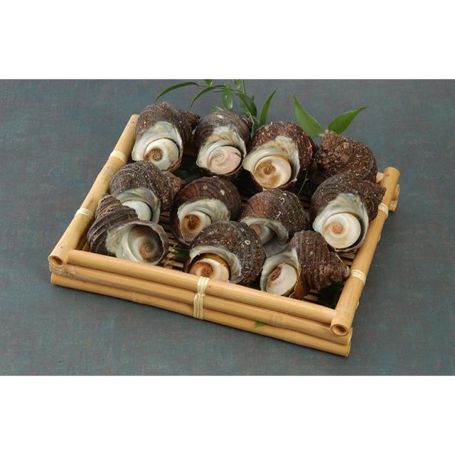 徳島 天然伊勢海老と天然サザエ詰合せ 送料無料-1