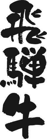 岐阜 飛騨牛ビーフカレー B ギフト対応可 送料無料-5