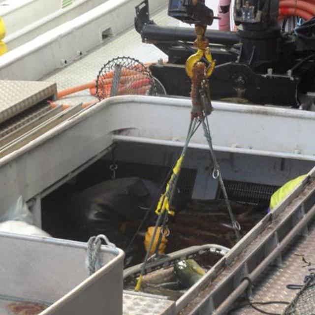 北海道 知床羅臼 鮭のちゃんちゃん焼き F 切身80g×4枚 セット ギフト対応可 送料無料-3