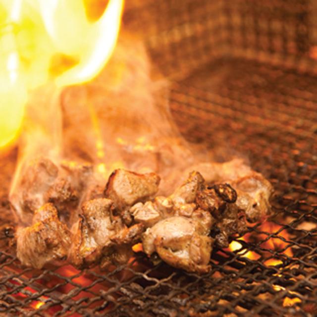 熊本 大阿蘇どり 焼肉 B ギフト対応可 送料無料-1