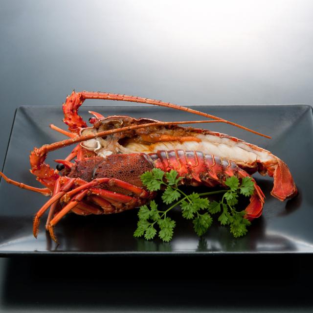 徳島 吟月 天然冷凍伊勢海老 ２尾 送料無料-1