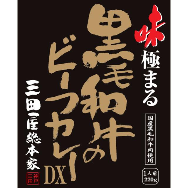 三田屋総本家 味極まる黒毛和牛のビーフカレーＤＸ 20食 送料無料-2