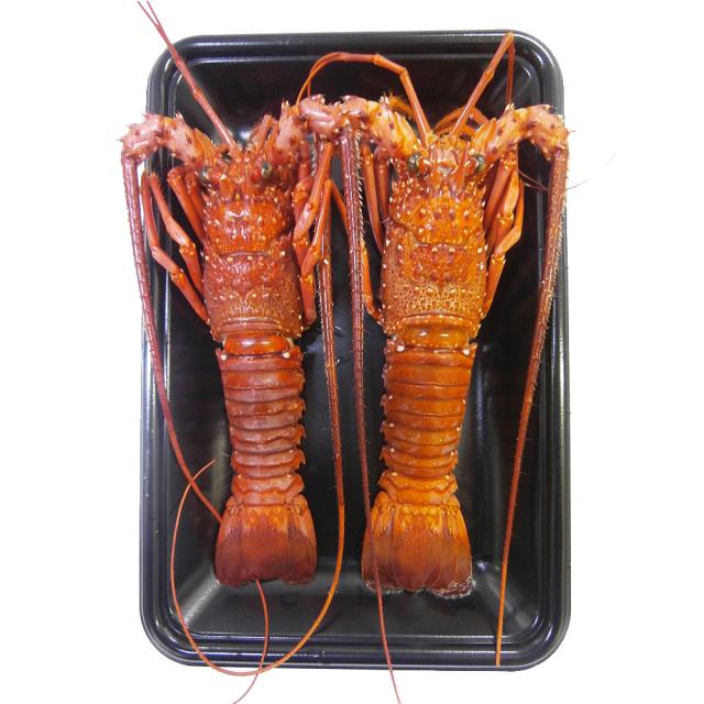 徳島 吟月 伊勢海老の塩蒸し 送料無料-3