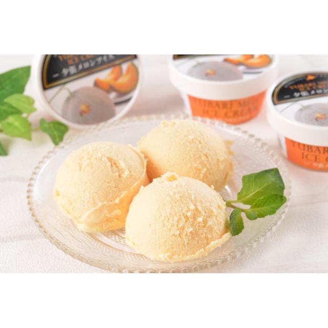 北海道 夕張メロンアイス 65ml×13個 FD44501761-7832 送料無料-4