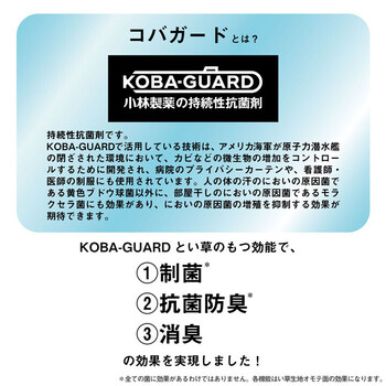カーペット い草 上敷き カーペット 江戸間2畳 制菌 抗菌防臭 消臭 小林製薬KOBA GUARD コバガード上敷 送料無料-2