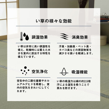 カーペット い草 上敷き カーペット 江戸間2畳 制菌 抗菌防臭 消臭 小林製薬KOBA GUARD コバガード上敷 送料無料-5