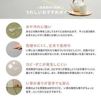 まるで本物のい草 江戸間1畳 PP上敷き い草風花ござ 水洗いOK 四条 しじょう 送料無料-3