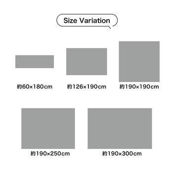 ラグ 約190×250cm マット 小林製薬 持続性抗菌剤 制菌 抗菌防臭 滑り止め 不織布 い草 グラデーション NSクリア 送料無料-12