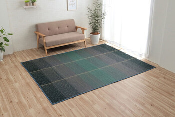 ラグ 約190×250cm マット 小林製薬 持続性抗菌剤 制菌 抗菌防臭 滑り止め 不織布 い草 グラデーション NSクリア 送料無料-14