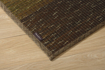 ラグ 約190×250cm マット 小林製薬 持続性抗菌剤 制菌 抗菌防臭 滑り止め 不織布 い草 グラデーション NSクリア 送料無料-19