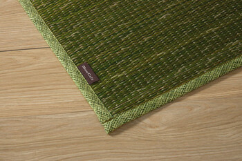 ラグ 約190×250cm マット 小林製薬 持続性抗菌剤 制菌 抗菌防臭 滑り止め 不織布 い草 グラデーション NSクリア 送料無料-23