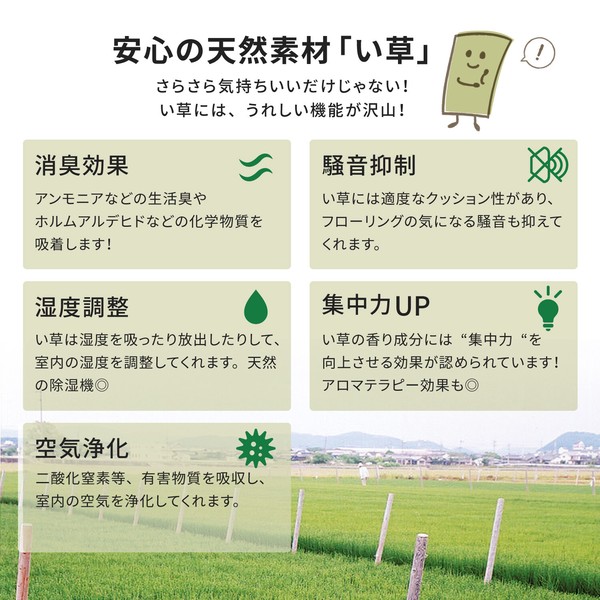 い草 上敷き 本間3畳 引目織 抗カビ 谷川 江戸間 36間 本間 送料無料-2