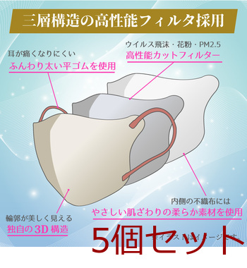 3D立体マスク スマートタイプ バイカラー オールドレース ふつうサイズ 30枚入 5セット 送料無料-5