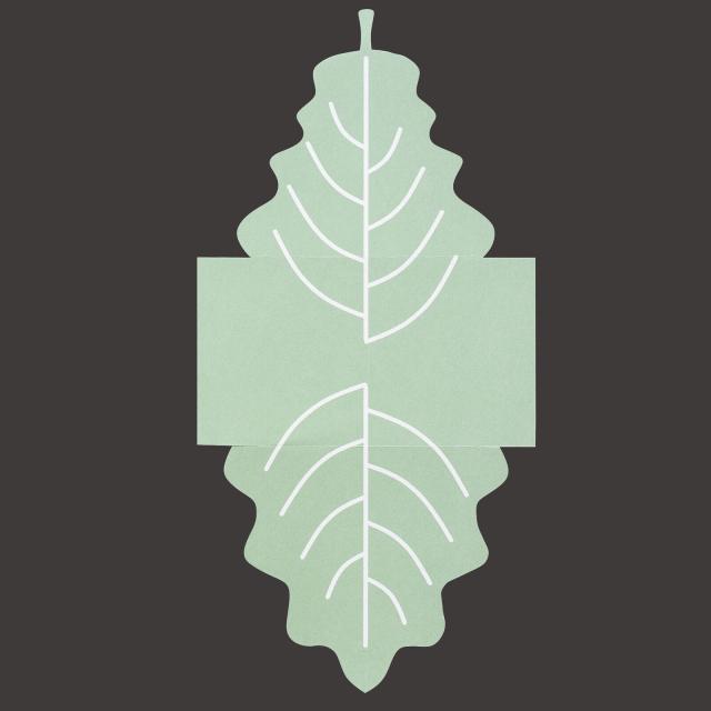 この葉おもてな紙飾り わかば こうよう 100枚入 キッチン 日本製 送料無料-2