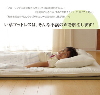 日本製 折りたたみ セミダブル約120×210cm マットレス い草マットレス 送料無料-16