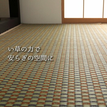純国産 い草花ござ 約261×261cm 西条 送料無料-7