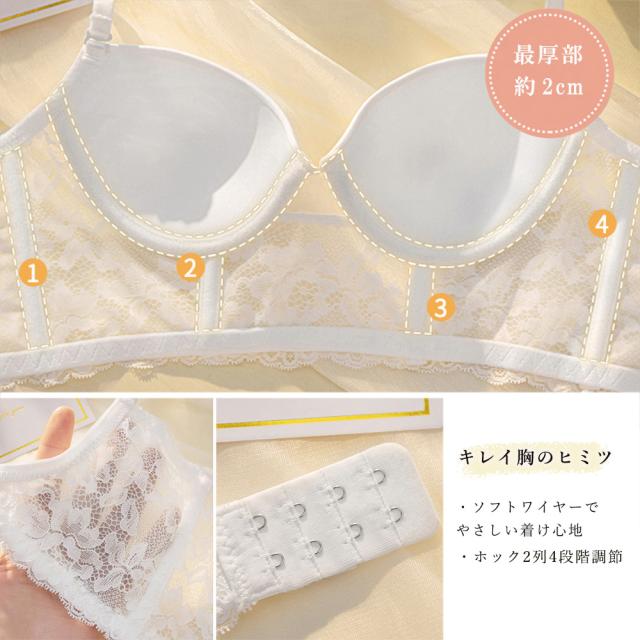 ブラジャー ショーツ レース刺しゅう 送料無料 即日発送-2