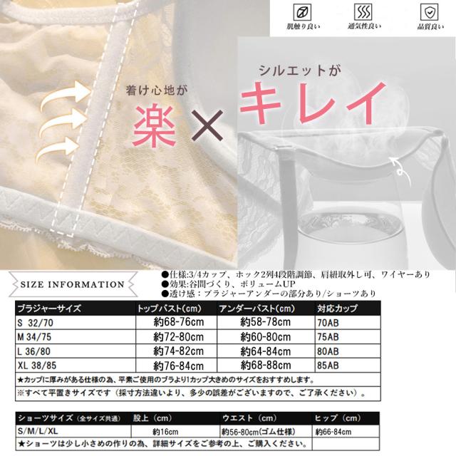 ブラジャー ショーツ レース刺しゅう 送料無料 即日発送-3