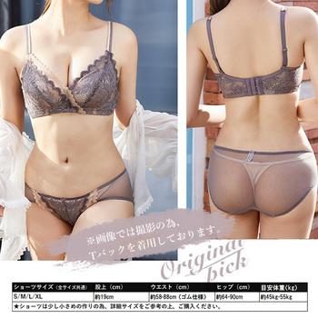 レースブラショーツレディースブラ 送料無料 即日発送-10