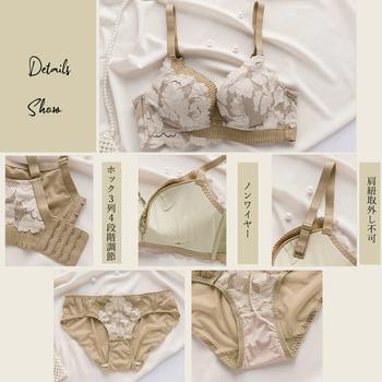 ブラジャー ショーツ セ下着 送料無料 即日発送-3