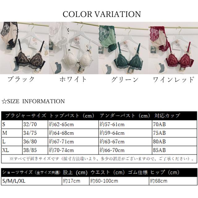 ノンワイヤーブラジャー ショーツ セット 送料無料 即日発送-1