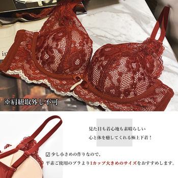 総レースブラショーツセット 送料無料 即日発送-7