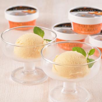 北海道 夕張メロンアイス 17個 送料無料-2