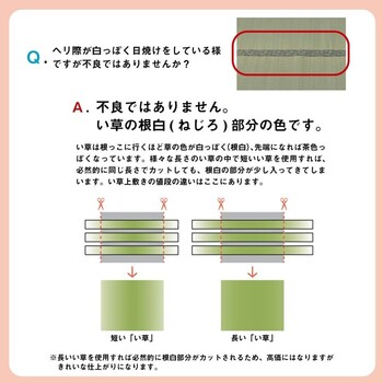 カーペット い草 上敷き カーペット 江戸間8畳 制菌 抗菌防臭 消臭 小林製薬KOBA GUARD コバガード上敷 送料無料-7