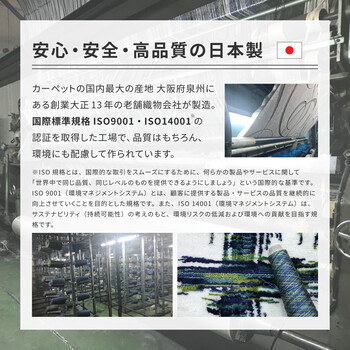 ラグ タフトラグ 約185×240cm　抗菌 防ダニ ふっくら 厚手 日本製 ミラク ベージュ 送料無料-11