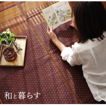 敷物 花ござ ベージュ江戸間3畳(174×261cm) 国産 日本製 い草 モダン 抗菌防臭 自然素材 不織布 DXランクス 送料無料-3