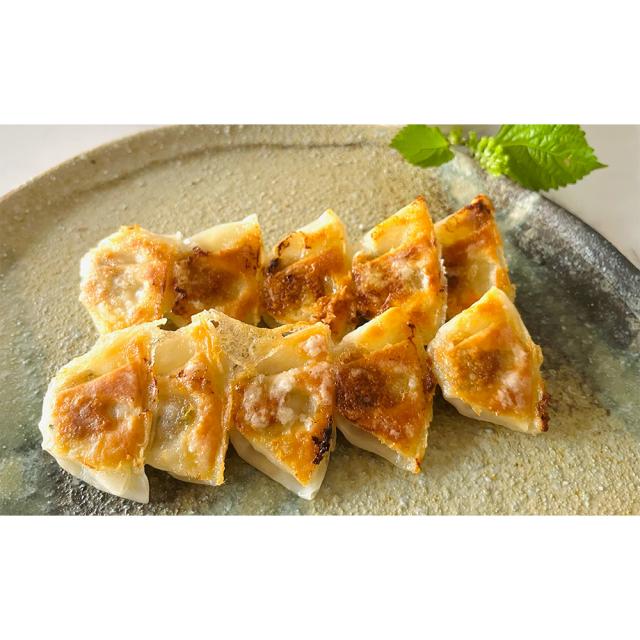 滋賀 牛肉商 徳志満 近江牛ひとくち餃子 20個×3 ギフト対応可 送料無料-3