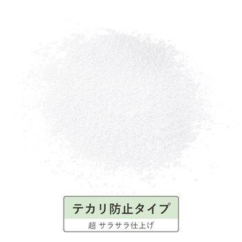 モイストラボ ルースパウダー テカリ防止タイプ 2個セット 送料無料-3